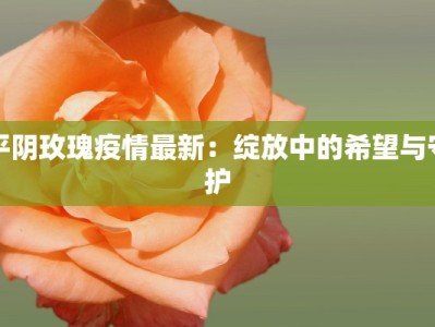 平阴玫瑰疫情最新：绽放中的希望与守护