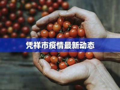 凭祥市疫情最新动态