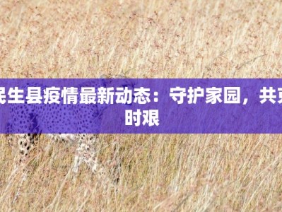 民生县疫情最新动态：守护家园，共克时艰
