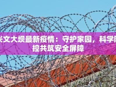 兴文大坝最新疫情：守护家园，科学防控共筑安全屏障