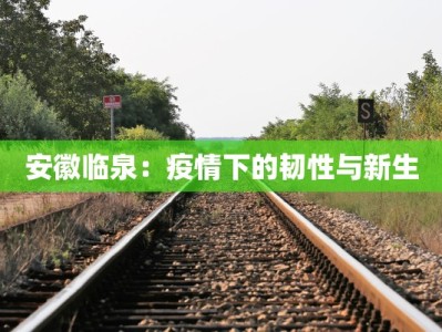 安徽临泉：疫情下的韧性与新生