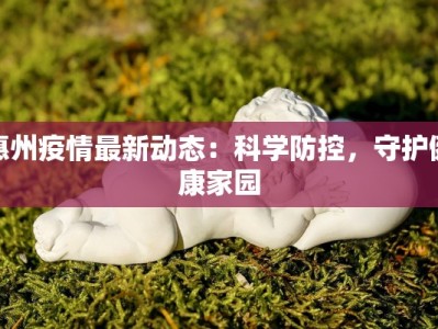 惠州疫情最新动态：科学防控，守护健康家园