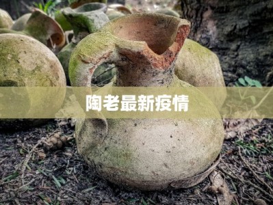 苏州疫情最新捐款：爱心涌动，共克时艰