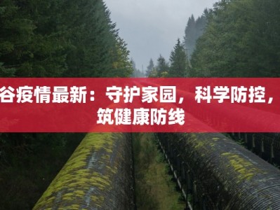 景谷疫情最新：守护家园，科学防控，共筑健康防线