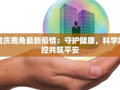 衡水古城最新疫情：守护健康，绽放古韵新活力