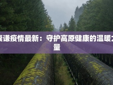 囊谦疫情最新：守护高原健康的温暖力量