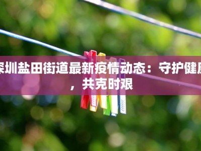 内蒙呼市疫情最新数据：守护健康，共克时艰