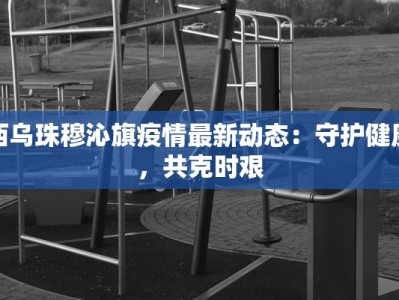 西乌珠穆沁旗疫情最新动态：守护健康，共克时艰