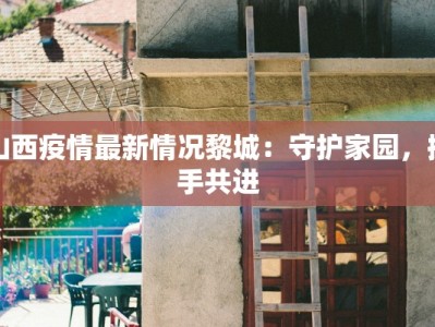 山西疫情最新情况黎城：守护家园，携手共进