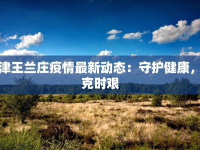天津王兰庄疫情最新动态：守护健康，共克时艰