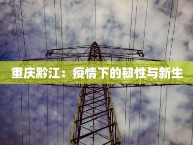 金阊街道最新通知疫情：科学防控，守护健康家园