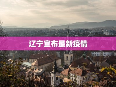 辽宁宣布最新疫情