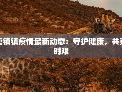 唐镇镇疫情最新动态：守护健康，共克时艰