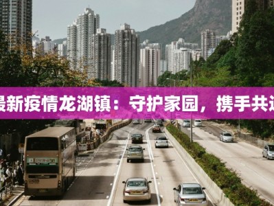最新疫情龙湖镇：守护家园，携手共进