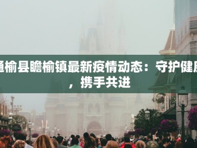 通榆县瞻榆镇最新疫情动态：守护健康，携手共进