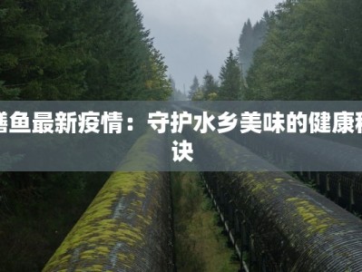 鳝鱼最新疫情：守护水乡美味的健康秘诀