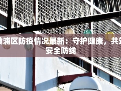 黄浦区防疫情况最新：守护健康，共筑安全防线