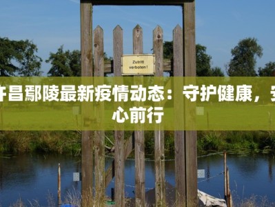 许昌鄢陵最新疫情动态：守护健康，安心前行