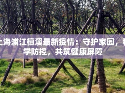澳门疫情昨天最新消息：守护健康，拥抱未来