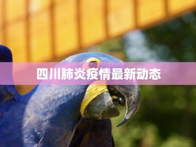 四川肺炎疫情最新动态
