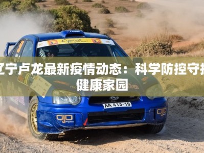 辽宁卢龙最新疫情动态：科学防控守护健康家园