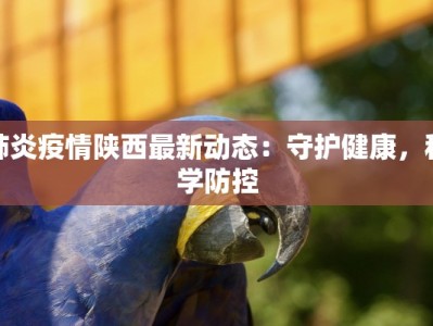 团风县疫情最新报道：守护家园，共克时艰