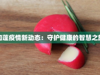 加蓬疫情新动态：守护健康的智慧之旅