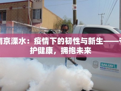 南京溧水：疫情下的韧性与新生——守护健康，拥抱未来