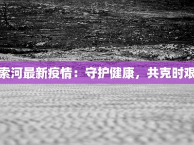 索河最新疫情：守护健康，共克时艰