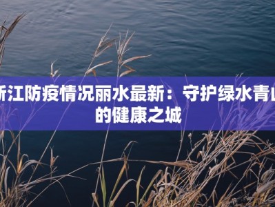 浙江防疫情况丽水最新：守护绿水青山的健康之城