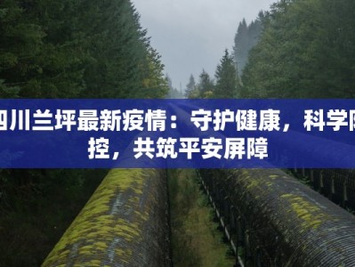 四川兰坪最新疫情：守护健康，科学防控，共筑平安屏障