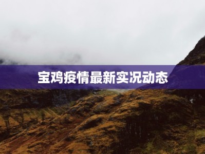 宝鸡疫情最新实况动态
