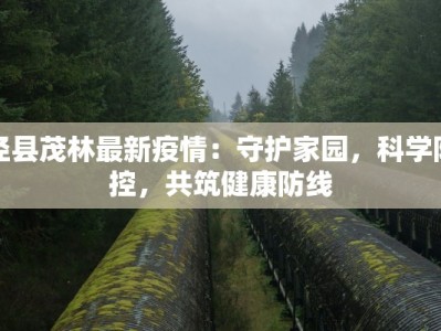 泾县茂林最新疫情：守护家园，科学防控，共筑健康防线