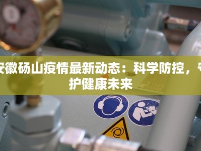 安徽砀山疫情最新动态：科学防控，守护健康未来