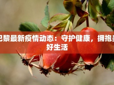 巴黎最新疫情动态：守护健康，拥抱美好生活