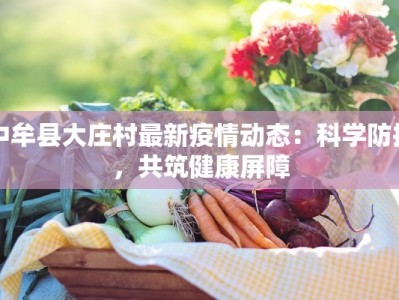 中牟县大庄村最新疫情动态：科学防控，共筑健康屏障
