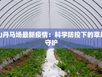 壶关疫情最新今天：守护健康，科学防控