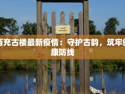 西充古楼最新疫情：守护古韵，筑牢健康防线