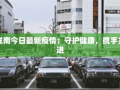 陇南今日最新疫情：守护健康，携手共进