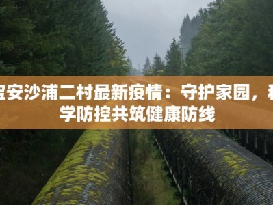 宝安沙浦二村最新疫情：守护家园，科学防控共筑健康防线