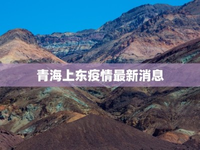 青海上东疫情最新消息