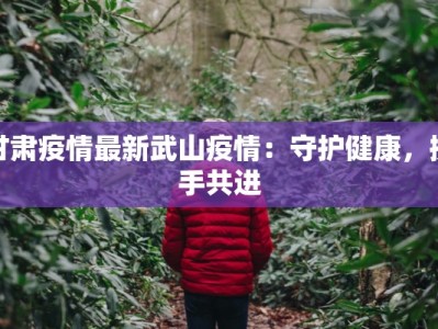 甘肃疫情最新武山疫情：守护健康，携手共进