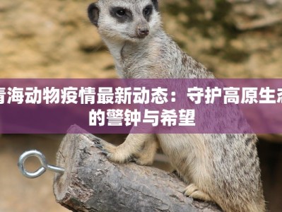 青海动物疫情最新动态：守护高原生态的警钟与希望