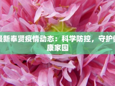 最新奉贤疫情动态：科学防控，守护健康家园