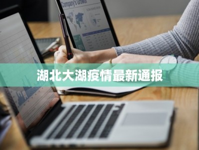 湖北大湖疫情最新通报