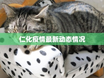 仁化疫情最新动态情况