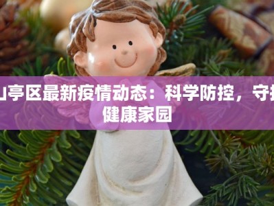 山亭区最新疫情动态：科学防控，守护健康家园