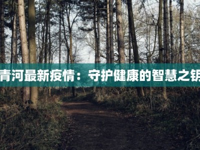 青河最新疫情：守护健康的智慧之钥