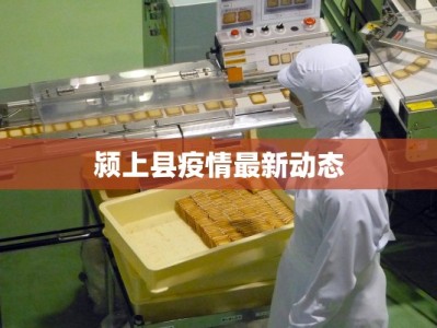 北京最新疫情圆通