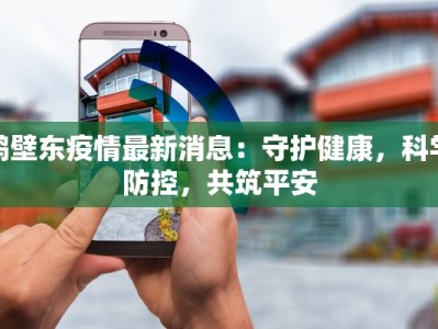 鹤壁东疫情最新消息：守护健康，科学防控，共筑平安